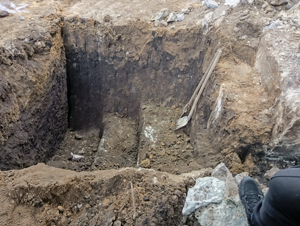 Изображение WhatsApp 2024-01-26 в 09.18.01_1d82d83a.jpg